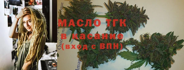 СК Алексин