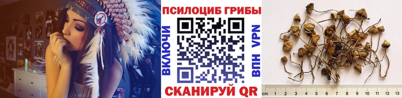 Псилоцибиновые грибы прущие грибы  Лабытнанги 